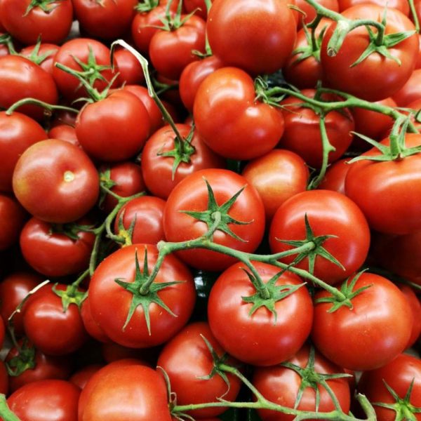 টমেটো / Tomato 1 kg